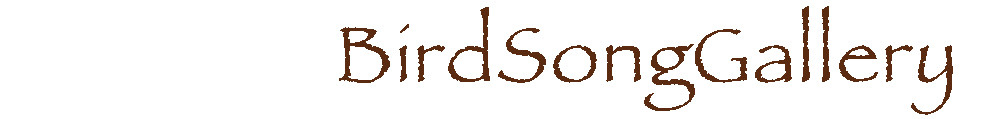 BirdSongGallery